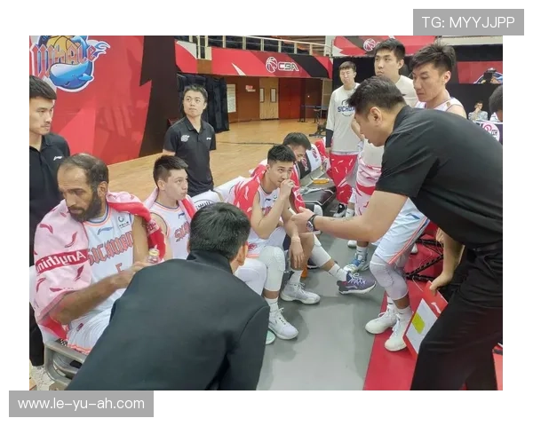 四川金强男篮状态到底咋样？球迷最关心的问题都在这儿